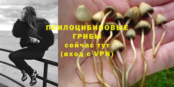 шишки Кулебаки