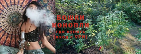 шишки Кулебаки