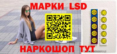 твердый Гатчина