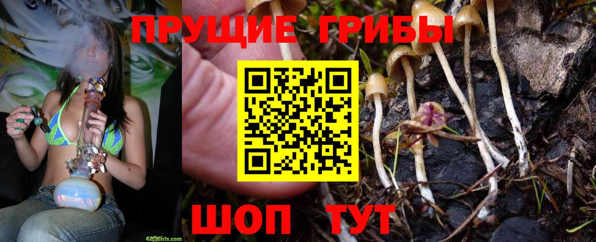 Псилоцибиновые грибы мицелий  Вход с VPN  Галлюциногенные грибы Psilocybe  Кызыл 